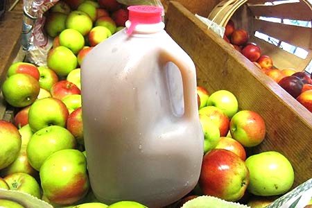 100% ORGANIC APPLE CIDER POWDER - 4 Ounce