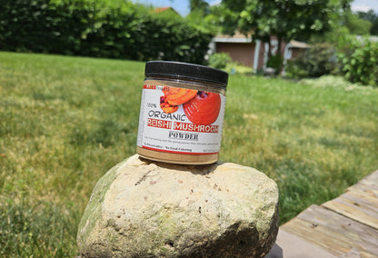 100% REISHI MUSHROOM POWDER - 4oz